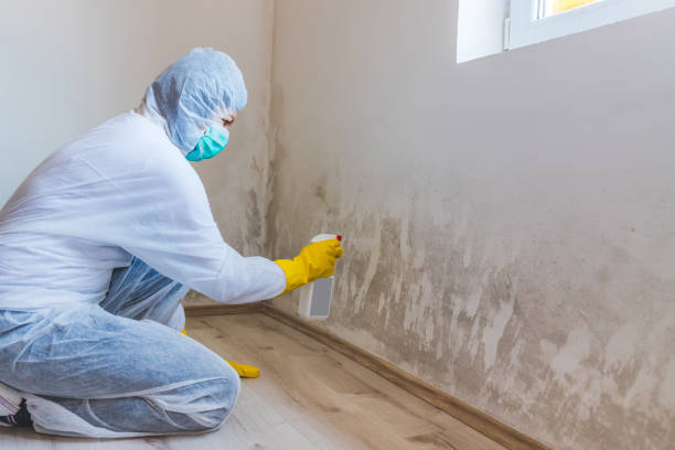 Commercial Mold Remediation assessment for commercial property in Spring City